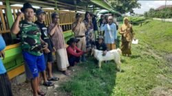 KAMBING: Program Banter Melaju Bantu Kambing 30 Ekor untuk 10 Warga Terpilih