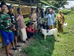 KAMBING: Program Banter Melaju Bantu Kambing 30 Ekor untuk 10 Warga Terpilih