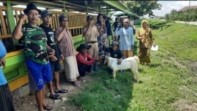 KAMBING: Program Banter Melaju Bantu Kambing 30 Ekor untuk 10 Warga Terpilih