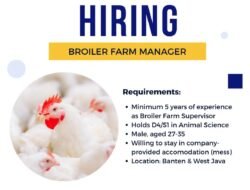 INFO LOKER: PT Charoen Pokphand Butuh Manajer Farm Broiler untuk Banten dan Jawa Barat
