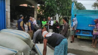 GABAH: Petani Bungah Kecamatan Sayung, Demak Senang, Gabah Panen Diserap Bulog