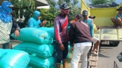 GABAH: Pemkab Rembang Jemput Bola Serap Gabah Petani untuk Jaga Harga Panen