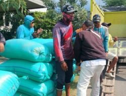 GABAH: Pemkab Rembang Jemput Bola Serap Gabah Petani untuk Jaga Harga Panen