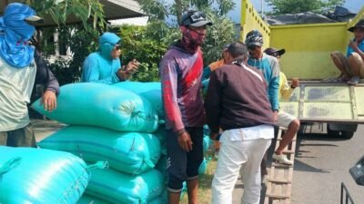 GABAH: Pemkab Rembang Jemput Bola Serap Gabah Petani untuk Jaga Harga Panen