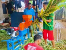 KAMBING: Peternakan di Lereng Gunung Wilis, Madiun, Jadi Model Harmoni Ekonomi dan Konservasi