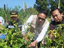 AYAM PETELUR: Wali Kota Malang Kunjungi Poktan Ainul Hayat I dan Peternakan Ayam Petelur