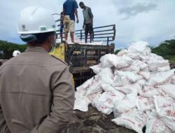 DAGING AYAM: Tak Layak Konsumsi, Balai Karantina Hewan Papua Selatan Musnahkan Satu Kontainer Daging Ayam