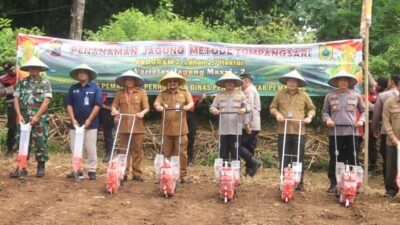 JAGUNG: Tingkatkan Ketahanan Pangan, Pemkab Pemalang Gandeng Polres untuk Menanam Jagung