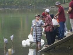 GUNUNGKIDUL: Pulihkan Sumber Daya Ikan, Bupati Endah Subekti Tebar 20 Ribu Benih Ikan Bersama Warga Mandak, Ponjong