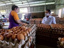TELUR: Produksi Telur Dalam Negeri Melimpah, Harga juga Tetap Stabil