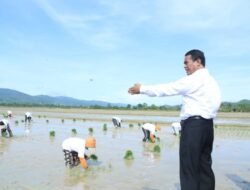 PUPUK: Musim Tanam Bulan April, Kementan Pastikan Tak Ada Lagi Kasus Pupuk Telat