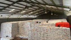 BERAS: Ada 3,7 Juta Ton Stok Cadangan Beras, Indonesia Terdepan di ASEAN dalam Produksi Beras