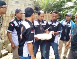 ENTOK: Peternak Lereng Merapi, Jalankan Budi Daya Entok Tahan Penyakit, Harga Fantastis