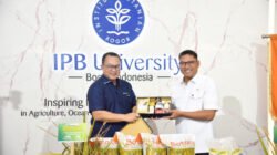 PADI: Kementan dan IPB Luncurkan Benih Padi Paten, Produktivitas Capai 12 Ton Per Hektare