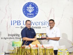 PADI: Kementan dan IPB Luncurkan Benih Padi Paten, Produktivitas Capai 12 Ton Per Hektare