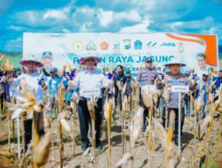 JAGUNG: Mentan Amran Sampaikan Kabar Gembira, Petani Jagung Dapat Dukungan Rp5 Triliun dari Presiden