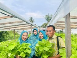 HIDROPONIK: Solusi Mandiri Ketahanan Pangan dengan Panen Sayuran Hidroponik