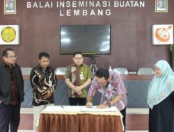 KUDA: Unhas dan Kementan Berupaya Percepat Pengembangan Kuda Nasional Lewat Semen Beku