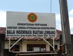 BIBIT TERNAK UNGGUL: Kementan Kembangkan Lokasi Baru di Subang untuk Tingkatkan Produksi