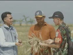 BERAS: Serapan Sudah Tembus 2.000.524 Ton Setara Beras, Stok Bulog 3,6 Juta Ton