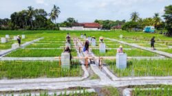 BERAS: Banyuwangi Kembangkan Ekosistem Industrialisasi Beras Biofortifikasi “Sunwangi”, Satu-Satunya di Indonesia