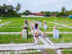 BERAS: Banyuwangi Kembangkan Ekosistem Industrialisasi Beras Biofortifikasi “Sunwangi”, Satu-Satunya di Indonesia
