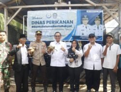 KEPITING: Kabupaten Seluma, Bengkulu Kembangkan Budi Daya Kepiting Bakau untuk Perkuat Ekonomi Nelayan