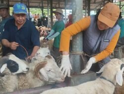 IDULADHA 2025: 80 Dokter Hewan Disiapkan untuk Awasi Penyembelihan Hewan Kurban