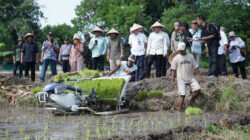 PADI: Surplus, Kabupaten Bantul Dukung Program Swasembada Pangan
