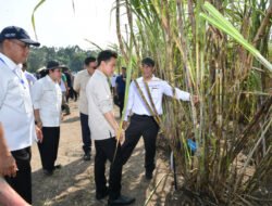 GULA: Wapres Gibran dan Mentan Amran Dorong Akselerasi Swasembada Gula