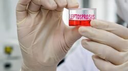 TIKUS: Soal Leptospirosis, Pemkab Lumajang Edukasi Warga untuk Antisipasi Dini di Tengah Peralihan Musim