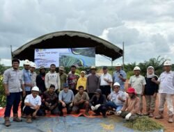 TIM IPB*, Koronisasi: Inovasi Tumpang Sari Sawit, Kacang Koro, dan Padi IPB 9G untuk Ketahanan Pangan dan Produktivitas Lahan Replanting