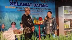 PADI: Tambahan Bantuan Padi Apung dari Pemprov Kalsel Diberikan kepada Kabupatan HSU