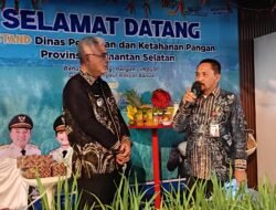 PADI: Tambahan Bantuan Padi Apung dari Pemprov Kalsel Diberikan kepada Kabupatan HSU
