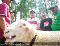 DOMBA: Sukses, Perhelatan “Festival Domba Kelas Terbuka HPDKI 2025” di Pasuruan, Jawa Timur