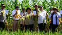 JOGJA BENIH EXPO 2025, Ajang Kolaborasi Terkait Pertanian Berbagai Pihak
