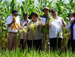 JOGJA BENIH EXPO 2025, Ajang Kolaborasi Terkait Pertanian Berbagai Pihak