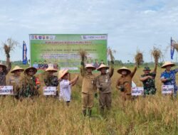 PANGAN: Kabupaten Kubu Raya, Kalimantan Barat Siap Menjadi Lumbung Pangan