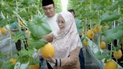 MELON: Panen di Rooftop RSUD Sragen, Bupati Bilang Ini Terobosan Menuju Kemandirian Pangan