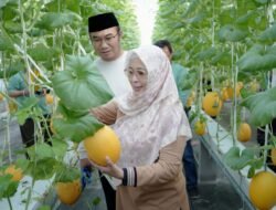 MELON: Panen di Rooftop RSUD Sragen, Bupati Bilang Ini Terobosan Menuju Kemandirian Pangan