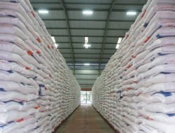 BERAS PREMIUM: Kembali Beredar di Pasaran Ritel, Harga Turun Rp1.000 di bawah HET