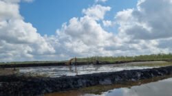 SAWAH: Libatkan Semua Pihak di Tanah Bumbu, Kalimantan Selatan, Kementan Percepat Cetak Sawah Seluas 2.672 Hektare