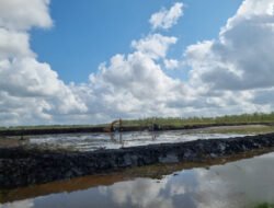 SAWAH: Libatkan Semua Pihak di Tanah Bumbu, Kalimantan Selatan, Kementan Percepat Cetak Sawah Seluas 2.672 Hektare