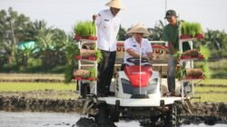 PERTANIAN: Pemprov Jateng Pulihkan Lahan Pertanian Seluas 512 Hektare di Demak