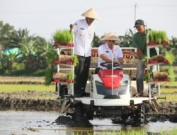 PERTANIAN: Pemprov Jateng Pulihkan Lahan Pertanian Seluas 512 Hektare di Demak