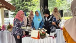 SINGKONG: Jadi Camilan Premium yang Kreatif, Singkong asal Sleman Tembus Batas Rasa