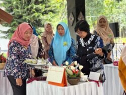 SINGKONG: Jadi Camilan Premium yang Kreatif, Singkong asal Sleman Tembus Batas Rasa