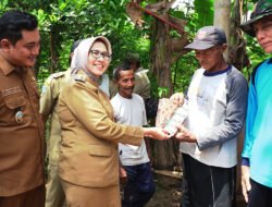 PETERNAKAN: Produktivitas Ternak yang Sehat Jadi Jaminan Ekonomi Warga dan Pemenuhan Gizi