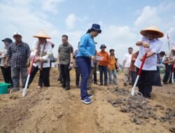 SWASEMBADA PANGAN: Wali Kota Jambi Dukung Tani Merdeka Wujudkan Swasembada Pangan