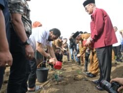 CABAI: Gubernur Aceh Dukung Petani Cabai dan Nilam Gayo untuk Dorong Ekonomi